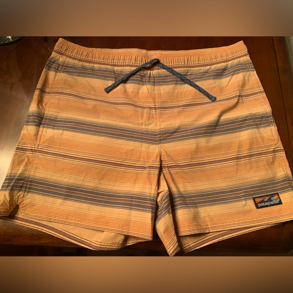 Patagonia Swim Trunks